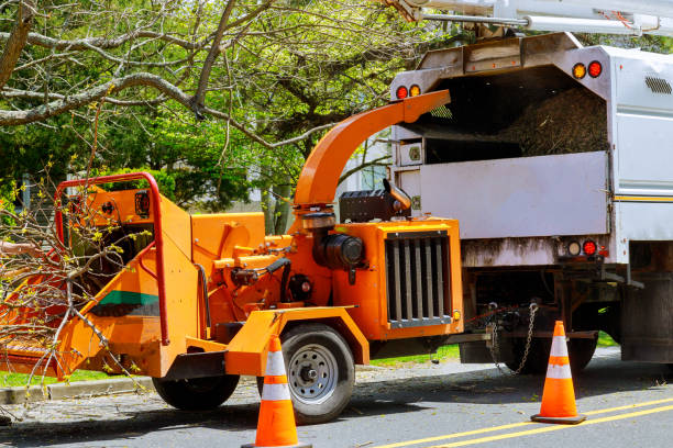 Archbold, OH Tree Care Services Company